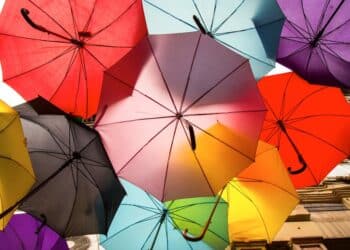 découvrez l'importance de la protection dans notre vie quotidienne. que ce soit pour assurer notre sécurité, préserver notre environnement ou protéger nos droits, explorez des solutions efficaces et inspirantes pour vivre en toute sérénité.